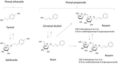 Assessing the Quality and Potential Efficacy of Commercial Extracts of Rhodiola rosea L. by Analyzing the Salidroside and Rosavin Content and the Electrophysiological Activity in Hippocampal Long-Term Potentiation, a Synaptic Model of Memory